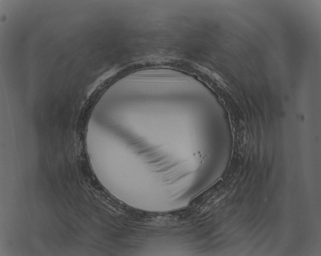 X0000073451160200608251658