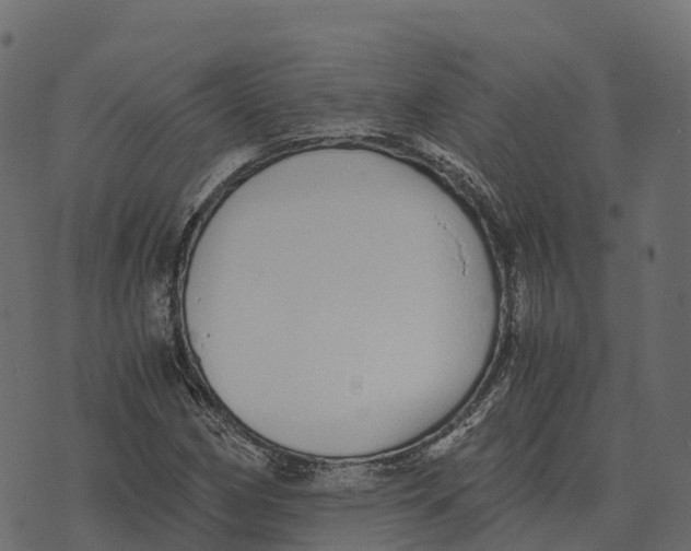 X0000073451162200608251658