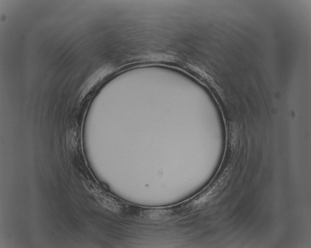 X0000073451163200608251658