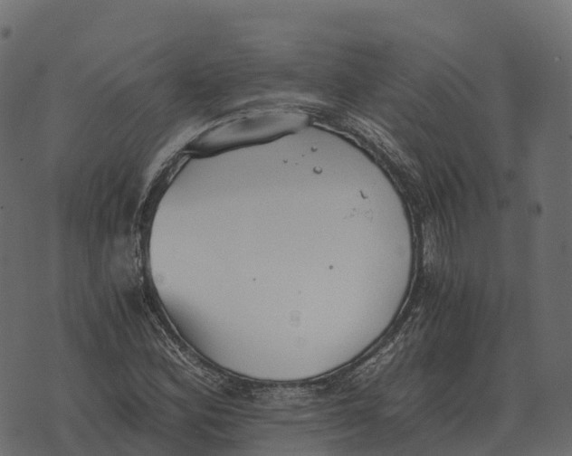 X0000073451164200608251658