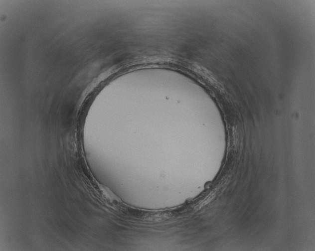 X0000073451165200608251658