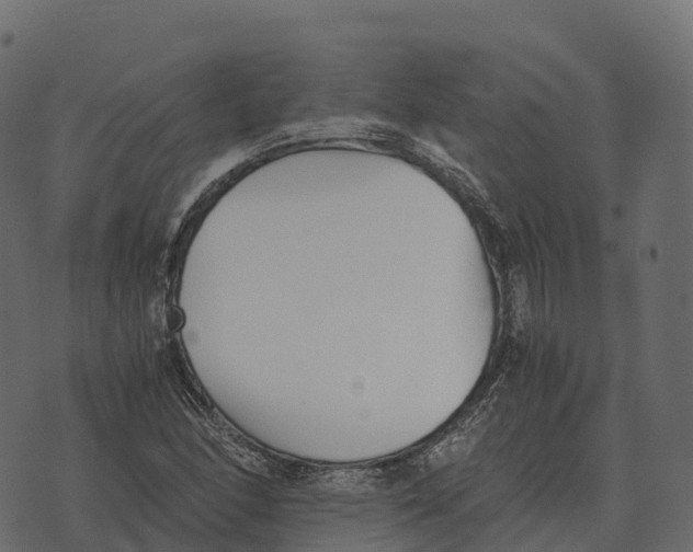 X0000073451166200608251658