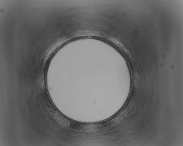 X0000073451167200608251658