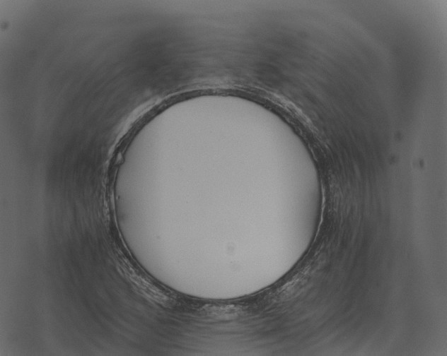 X0000073451168200608251658