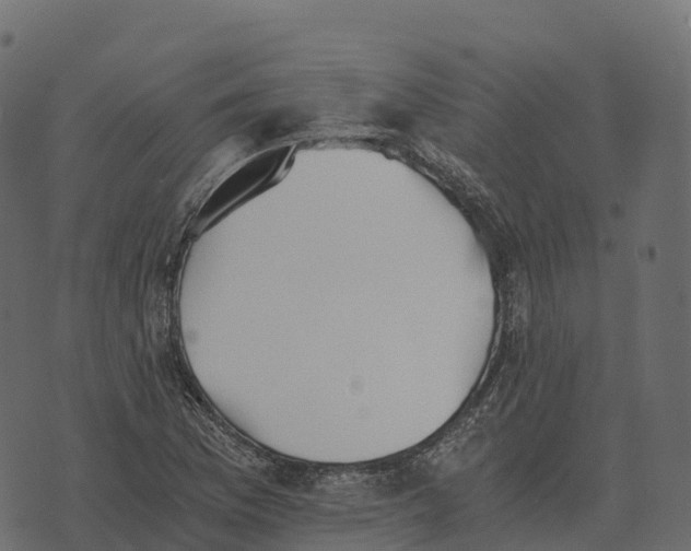 X0000073451169200608251658