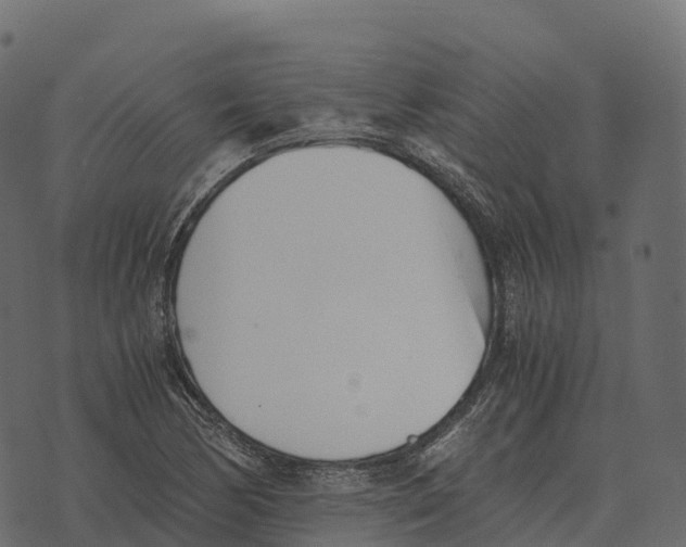 X0000073451170200608251658