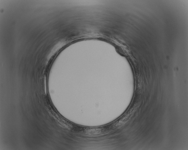 X0000073451171200608251658