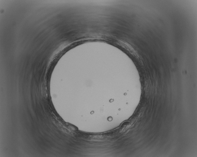 X0000073451172200608251658