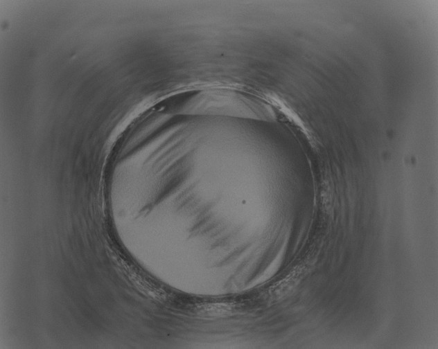 X0000073451173200608251658