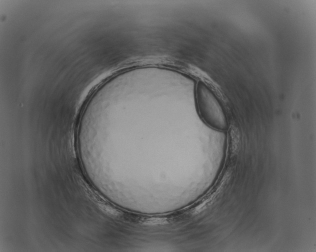 X0000073451174200608251658