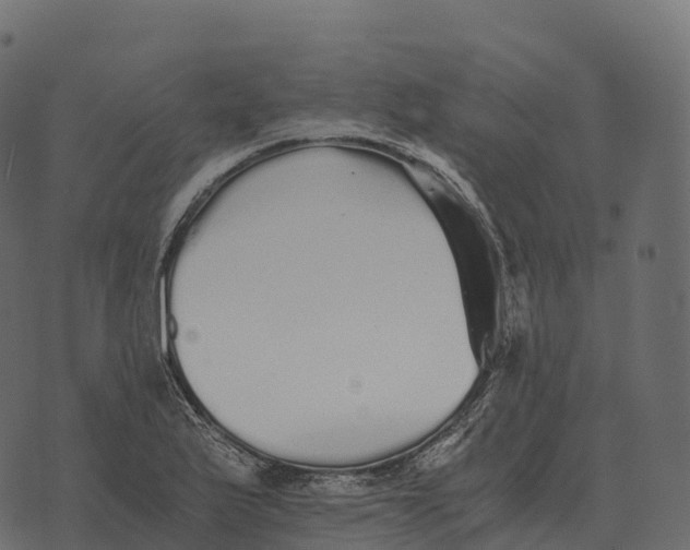 X0000073451175200608251658