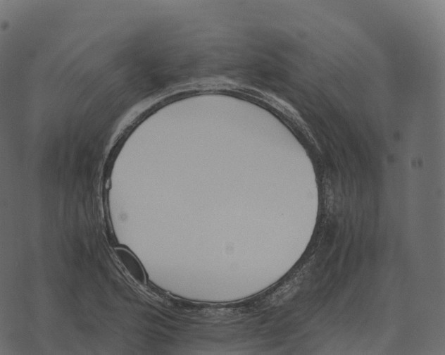 X0000073451176200608251658