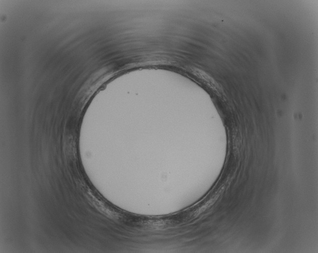 X0000073451177200608251658