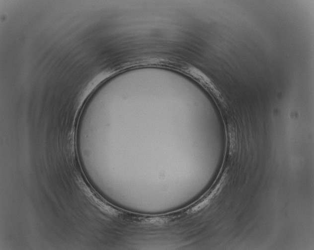 X0000073451178200608251658