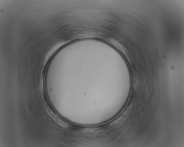 X0000073451179200608251658