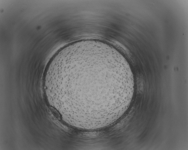 X0000073451182200608251658