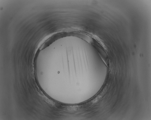 X0000073451184200608251658