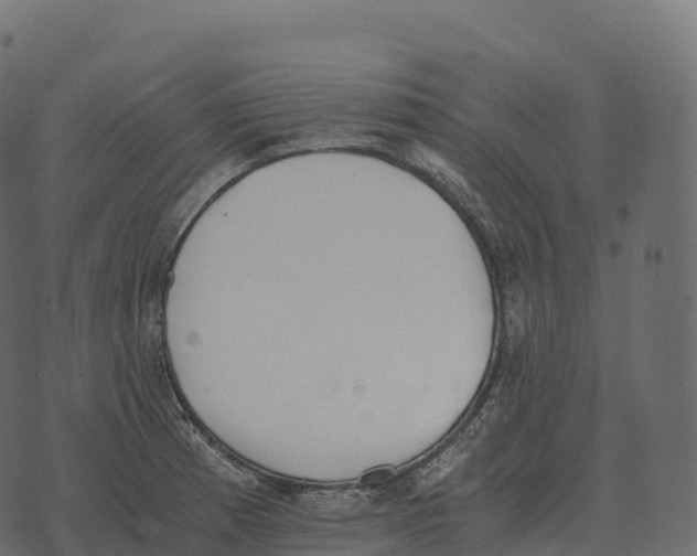 X0000073451185200608251658