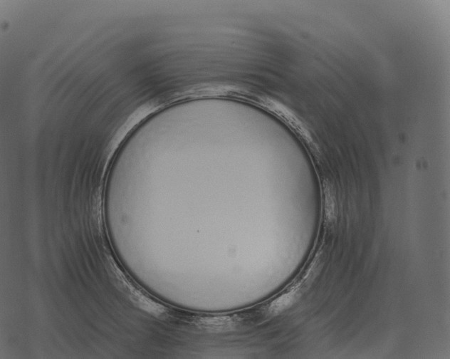 X0000073451186200608251658