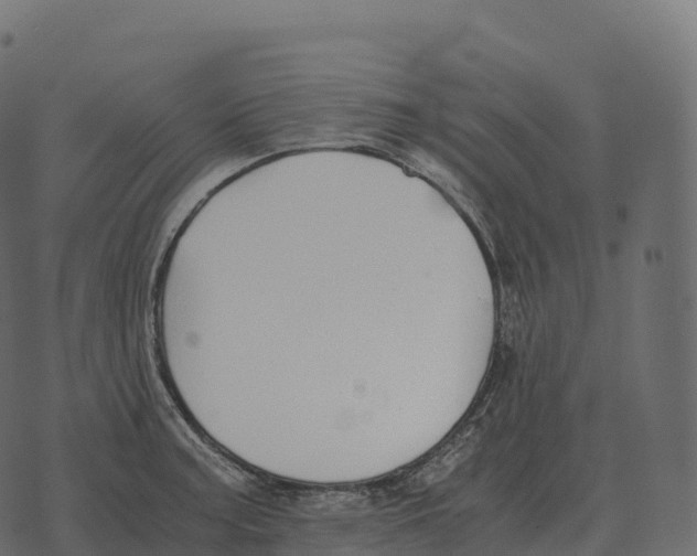 X0000073451187200608251658