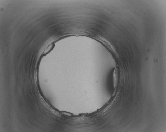 X0000073451188200608251658