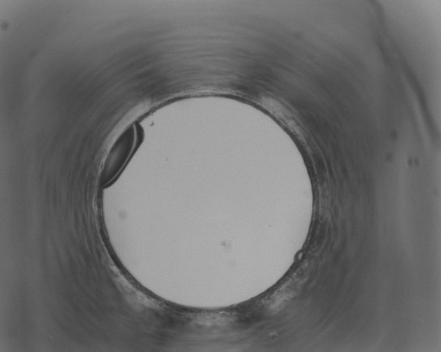 X0000073451189200608251658