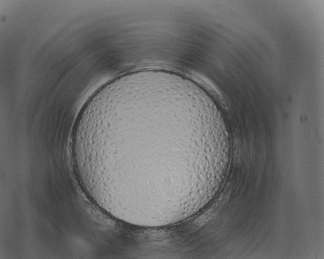 X0000073451190200608251658