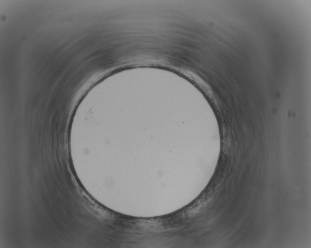 X0000073451191200608251658