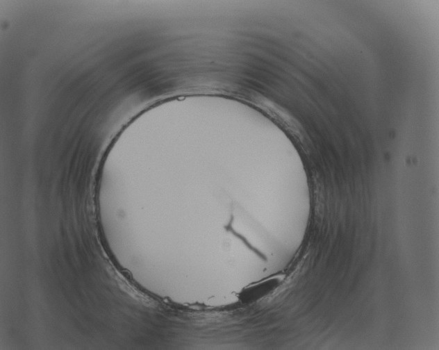 X0000073451192200608251658