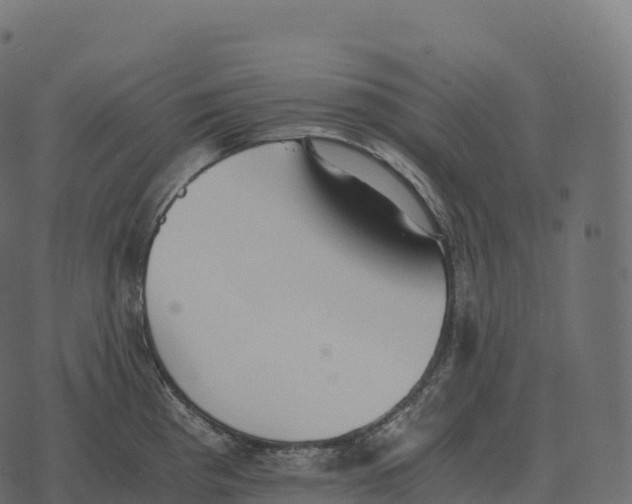 X0000073451193200608251658