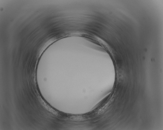 X0000073451194200608251658