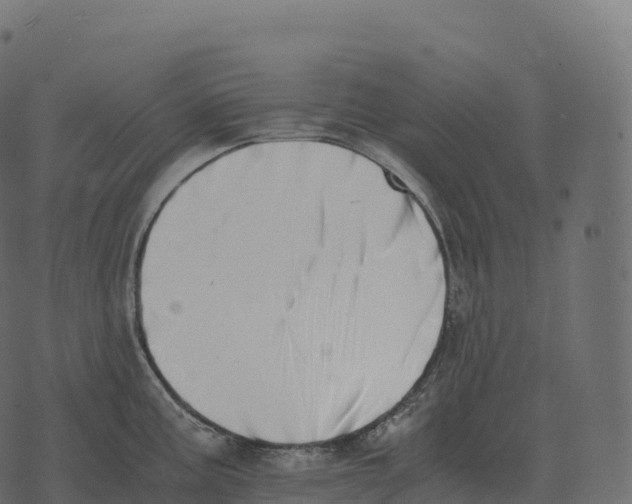 X0000073451195200608251658