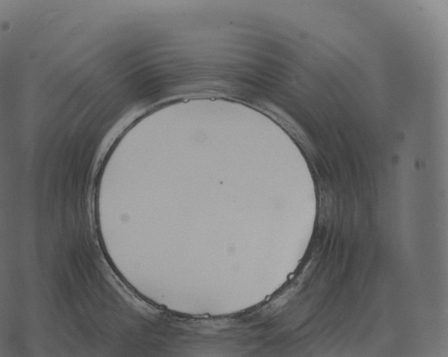 X0000073451196200608251658