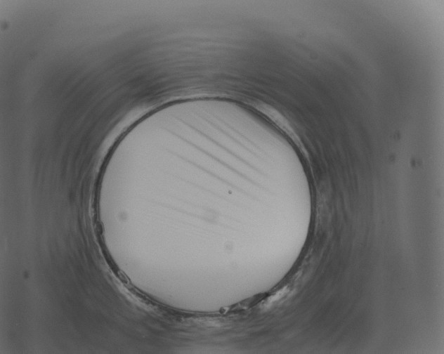 X0000073451197200608251658