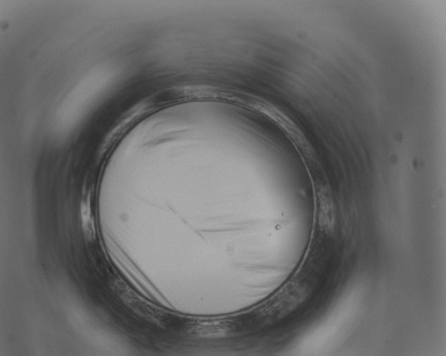 X0000073451198200608251658