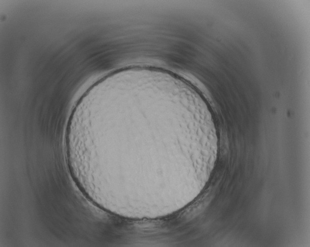 X0000073451199200608251658