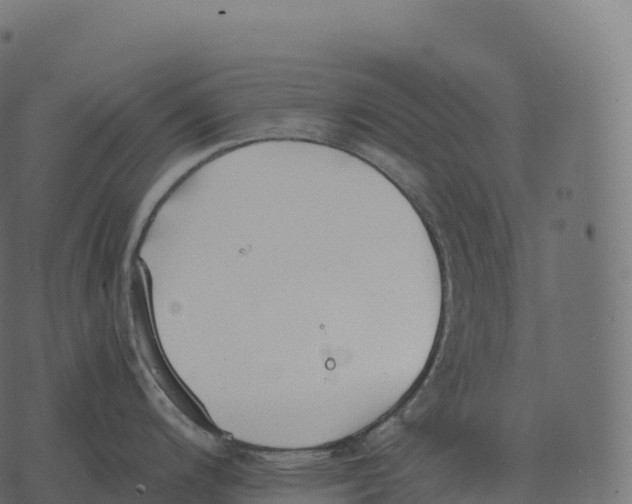 X0000073451200200608251658