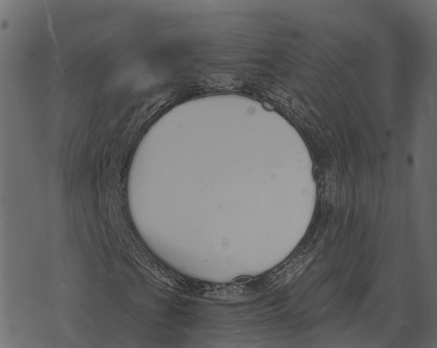 X0000073451201200608251657