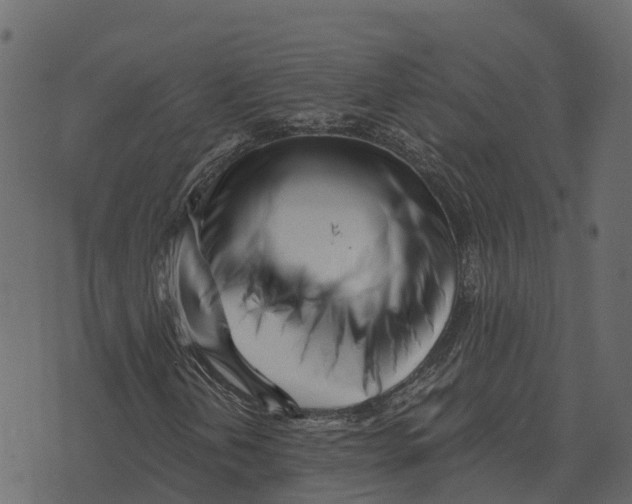 X0000073451202200608251657