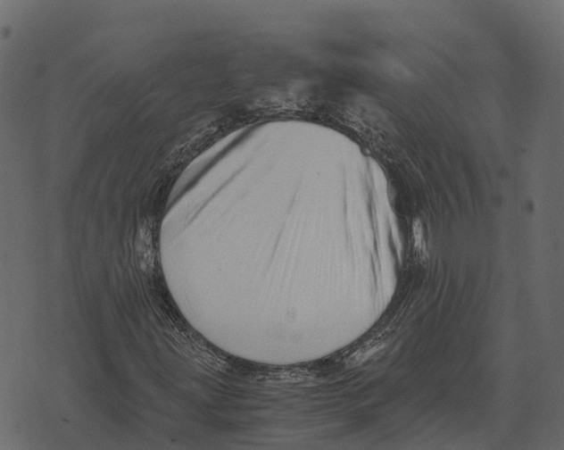 X0000073451203200608251657