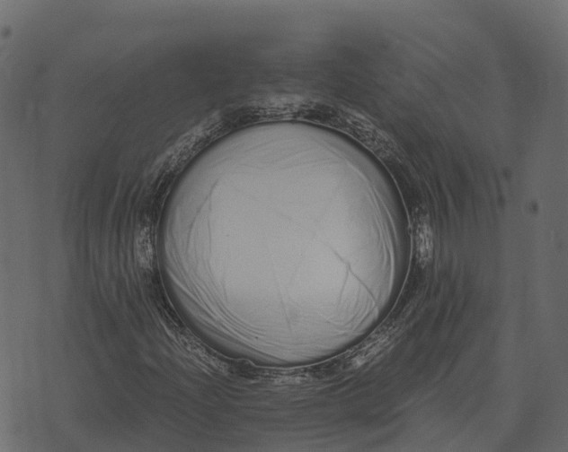 X0000073451204200608251657