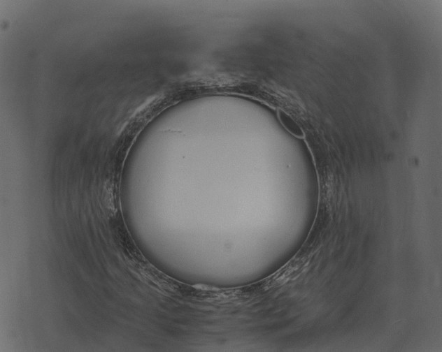 X0000073451205200608251657