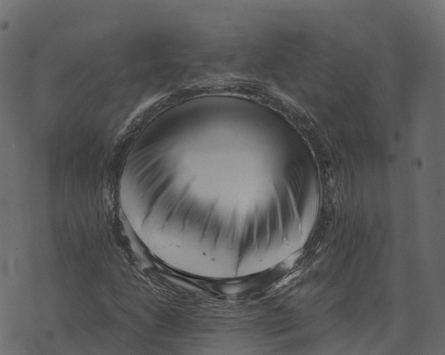 X0000073451206200608251657