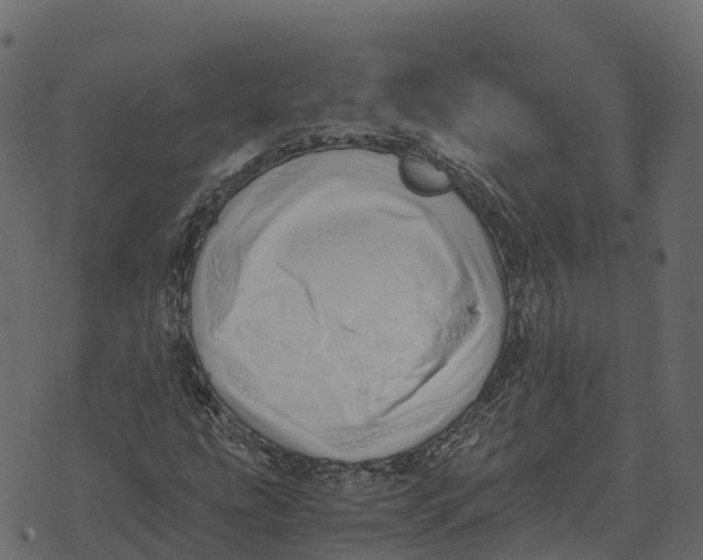 X0000073451207200608251657