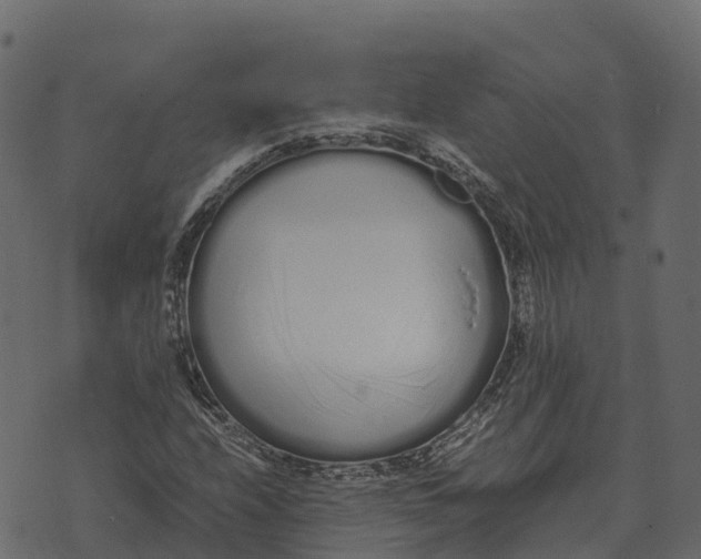 X0000073451208200608251657