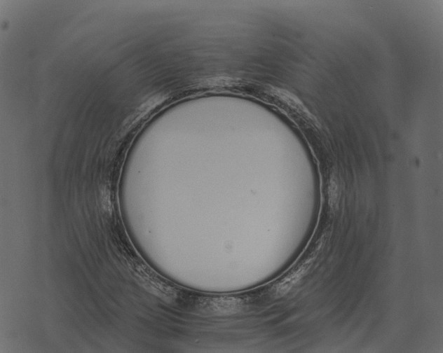 X0000073451209200608251657