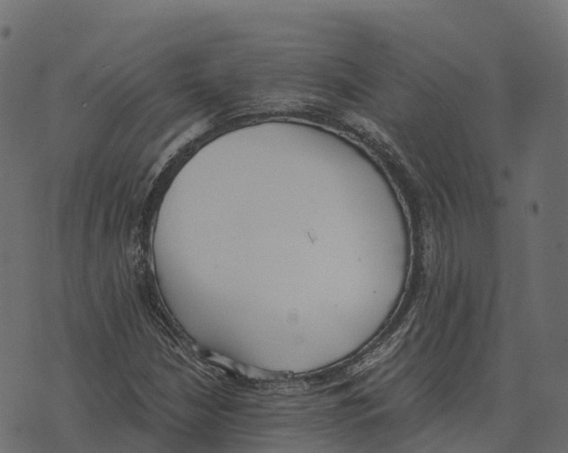 X0000073451210200608251657