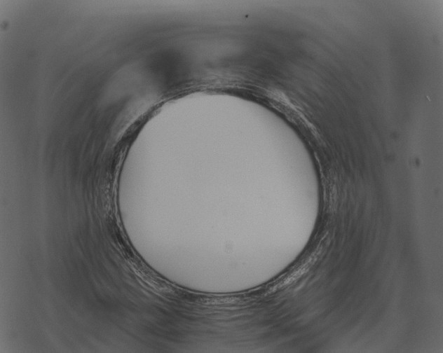 X0000073451211200608251657