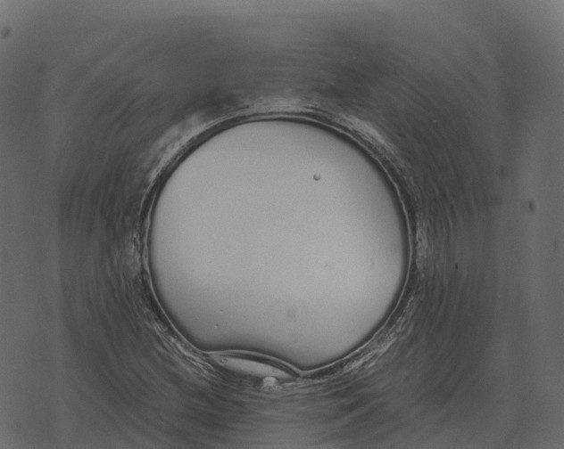 X0000073451212200608251657