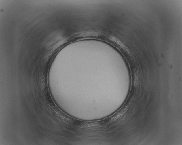 X0000073451213200608251657